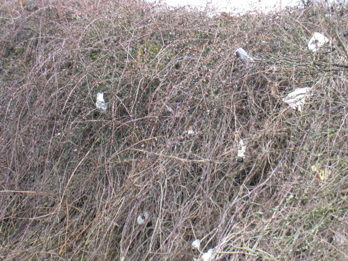 Hilgenbach 11