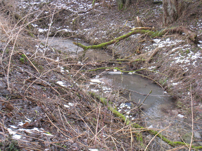 Hilgenbach 6