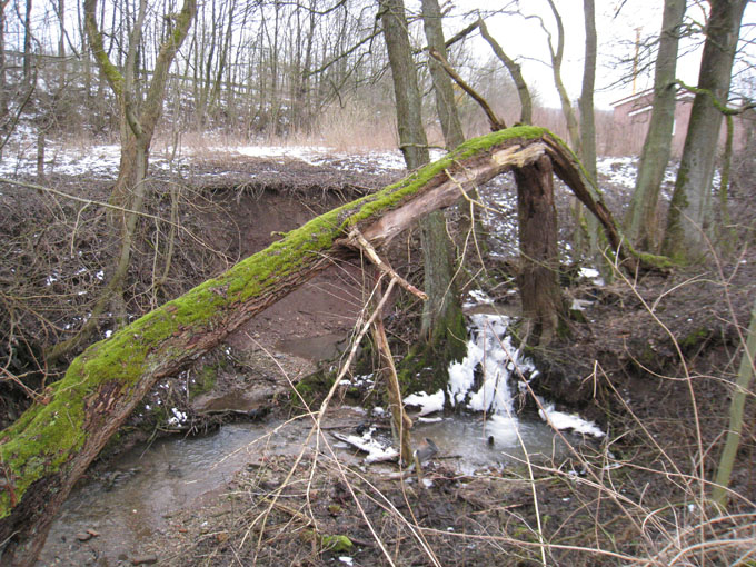 Hilgenbach 7